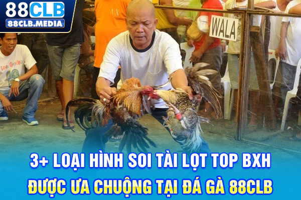 3+ loại hình soi tài lọt top BXH được ưa chuộng tại đá gà 88CLB