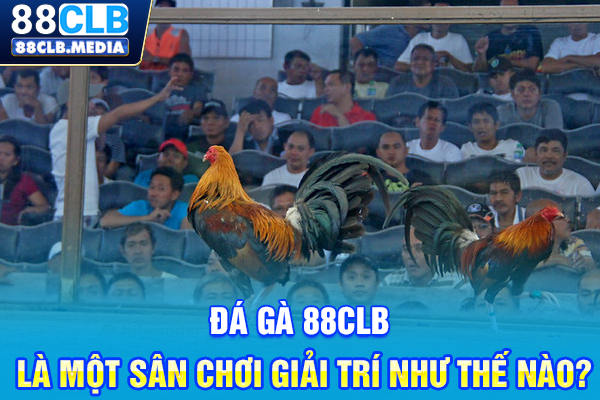 Đá gà 88CLB là một sân chơi giải trí như thế nào?