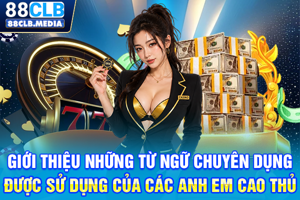 Giới thiệu những từ ngữ chuyên dụng được sử dụng của các anh em cao thủ